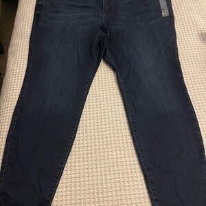 Lane Bryant High-Rise Dark Wash Jeggings with raw hem and 3 buttons-NWT Size 24W